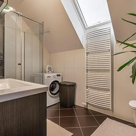 Vineyard Deer's Hill - Happy