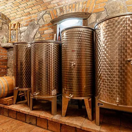 Vineyard Deer's Hill - Happy Holiday home Smarjeske Toplice